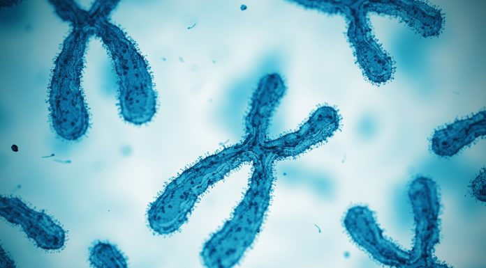 Chromosome. Concept. 3D Render, RNA molecule signature diagnosis could revolutionize personalized medicine