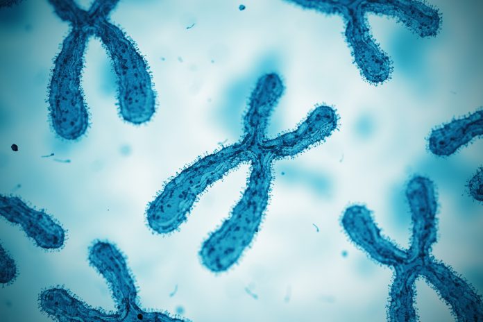 Chromosome. Concept. 3D Render, RNA molecule signature diagnosis could revolutionize personalized medicine