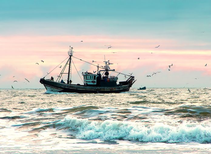 Fshing ship surrounded of seagulls in Atlantic ocean at sunset