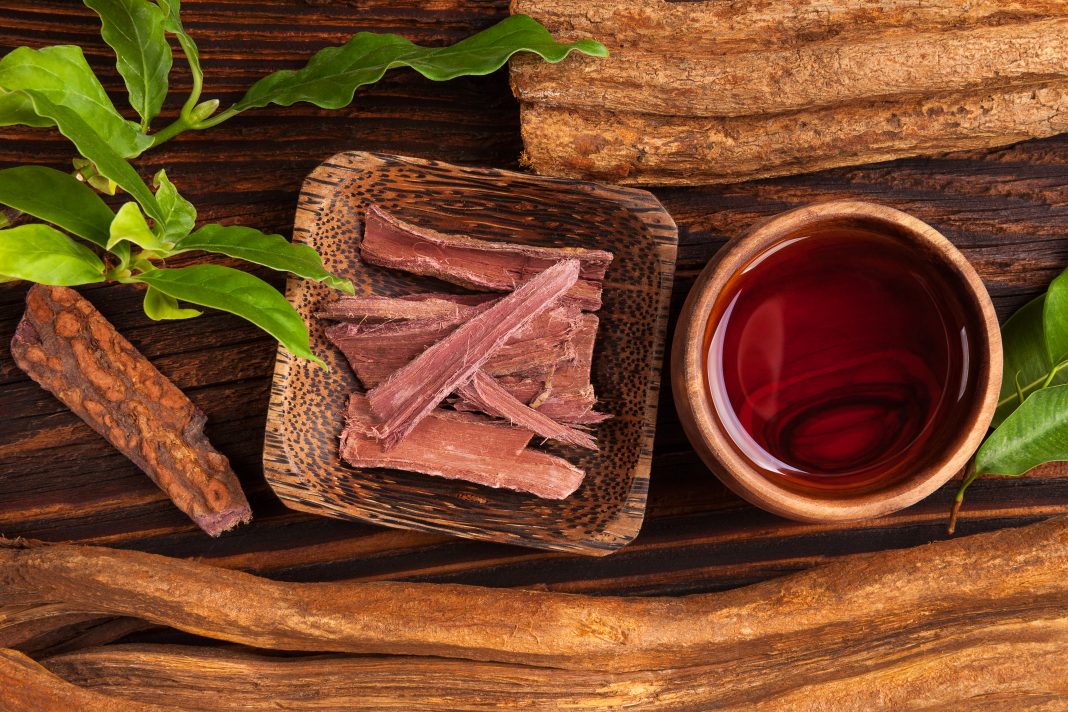 Ayahuasca brew with baniseriopsis caapi mimosa hostilis rootbark and chackruna leaves on wooden table from above.