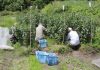agriculture and social welfare, people gardening
