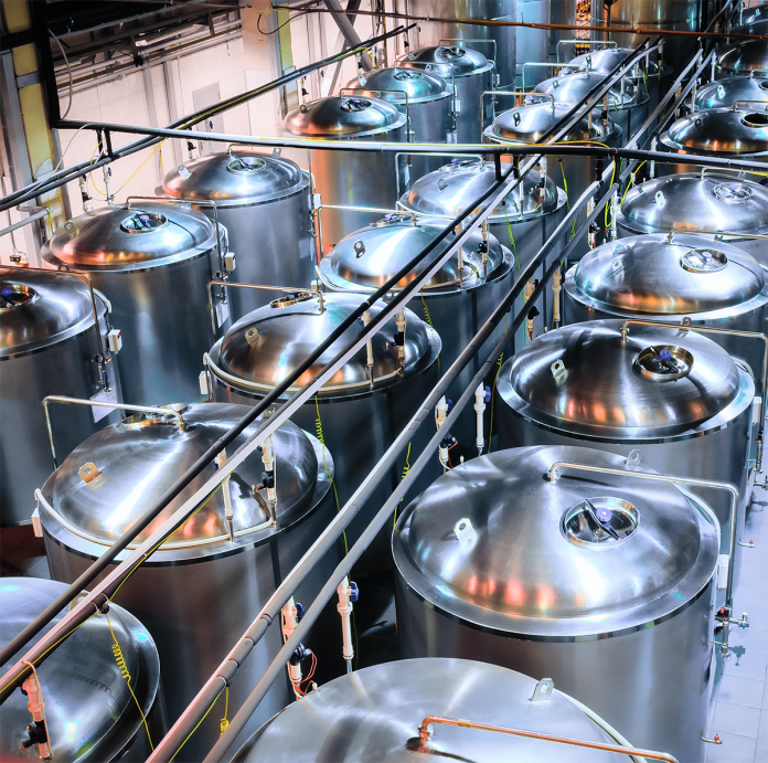 By “brewing” insect pheromones in large fermenters at an industrial scale the cost can be reduced to a level suitable for pest control in field crops (Shutterstock / Nordroden)