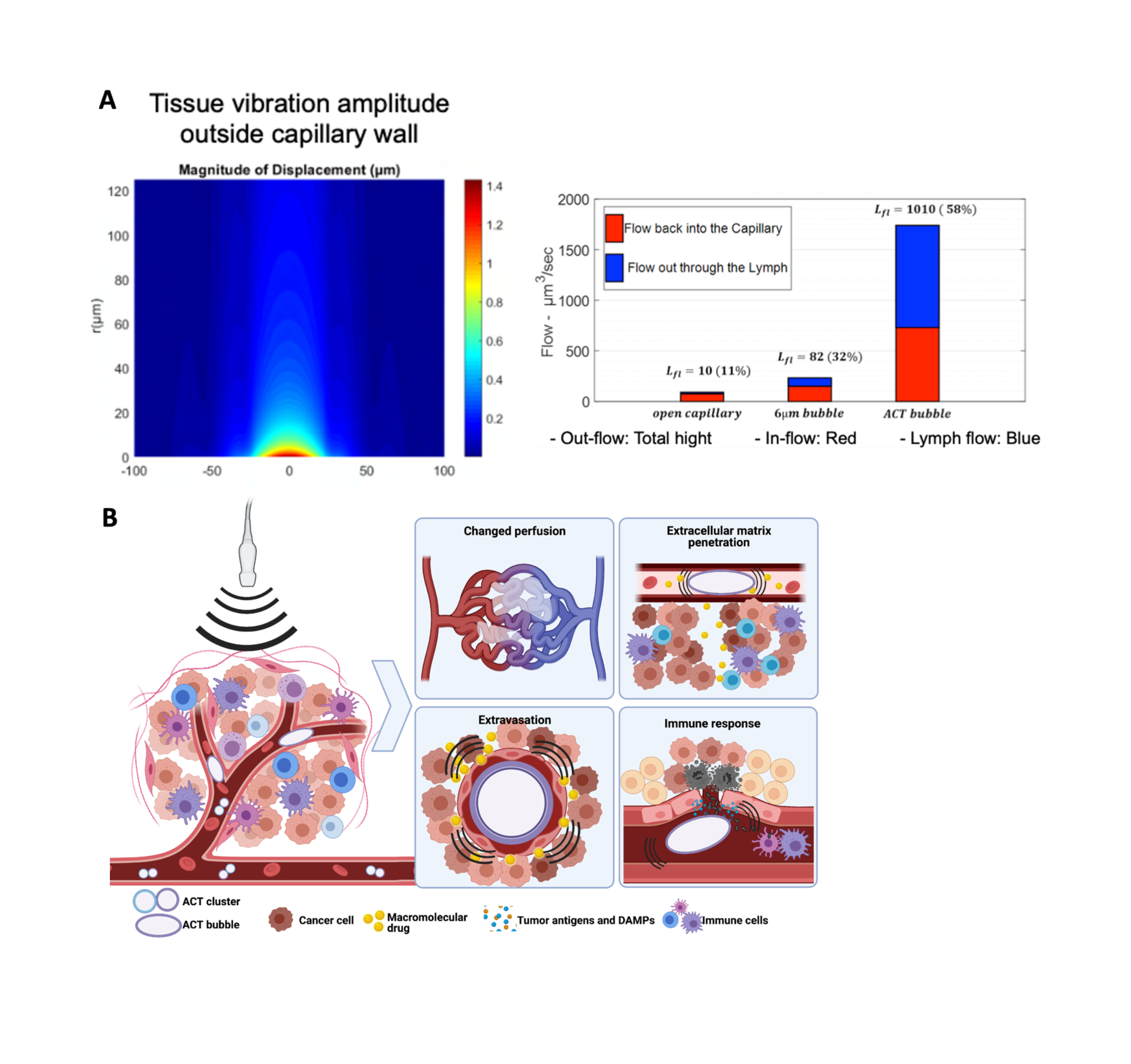 Figure 3, A: Modelling of tissue displacement and streaming velocities in a tumor during ACT treatment. The displacement is propagated more than 100 mm away from the tumor resulting in increased fluid streaming in the tumor. This can both deliver drug to deeper parts of the tumor and wash antigens and extracellular matrix components out of the tumor to facilitate antigen presentation and transport, also after completion of the ACT treatment. B: Illustration showing the various possible effects from ACT in a tumor. Sonoenhancement can change the tumor perfusion, increase extracellular matrix penetration, increase extravasation and possibly also induce a local inflammatory response.