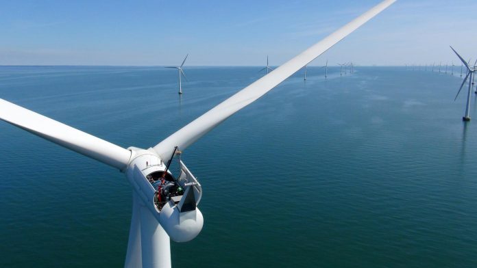 Image: Thor Offshore Wind farm © RWE