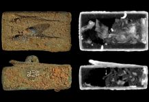 Neutron imaging of one animal coffin from Ancient Egypt
