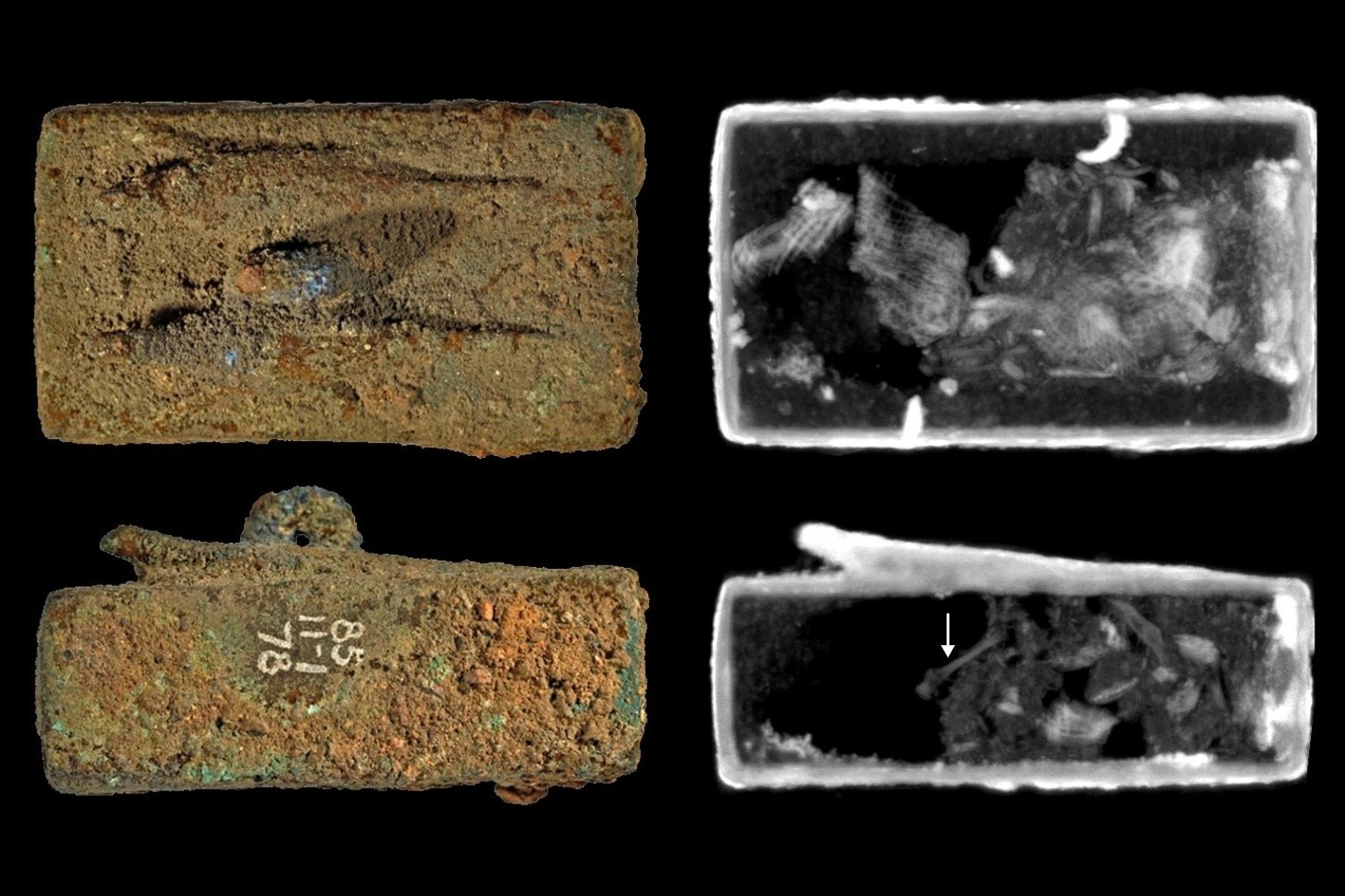 Neutron imaging of one animal coffin from Ancient Egypt