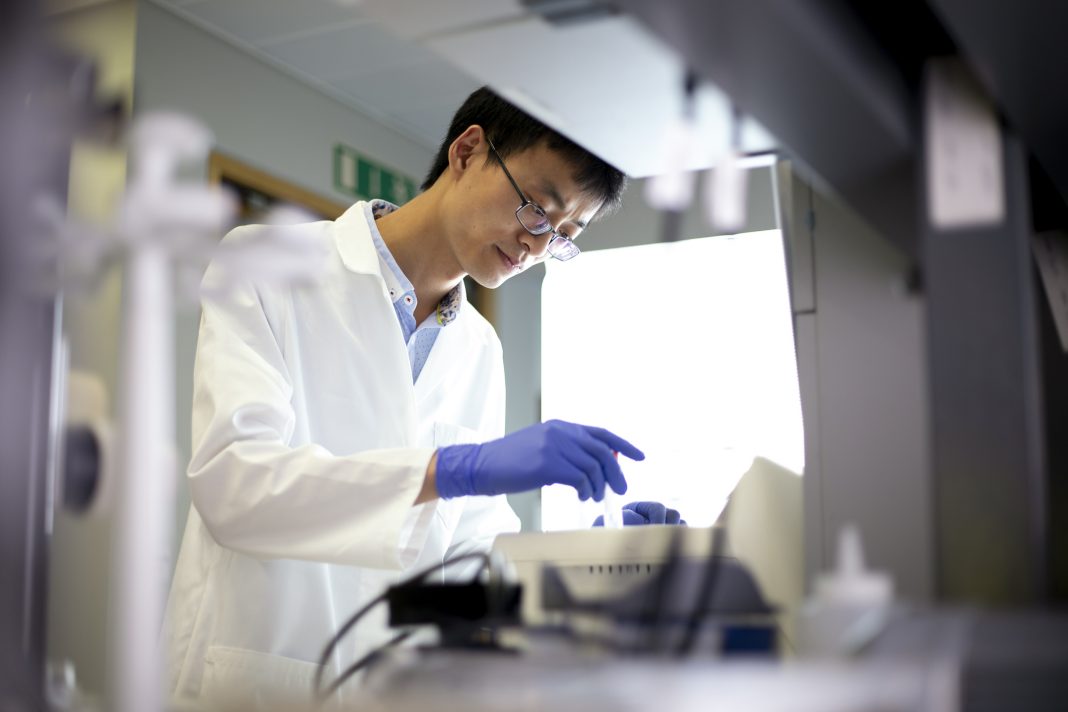 young researcher in a science lab