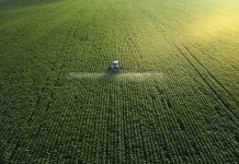 Tractor fertilizing a cultivated agricultural field