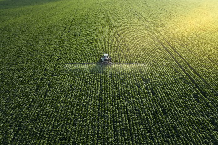 Tractor fertilizing a cultivated agricultural field