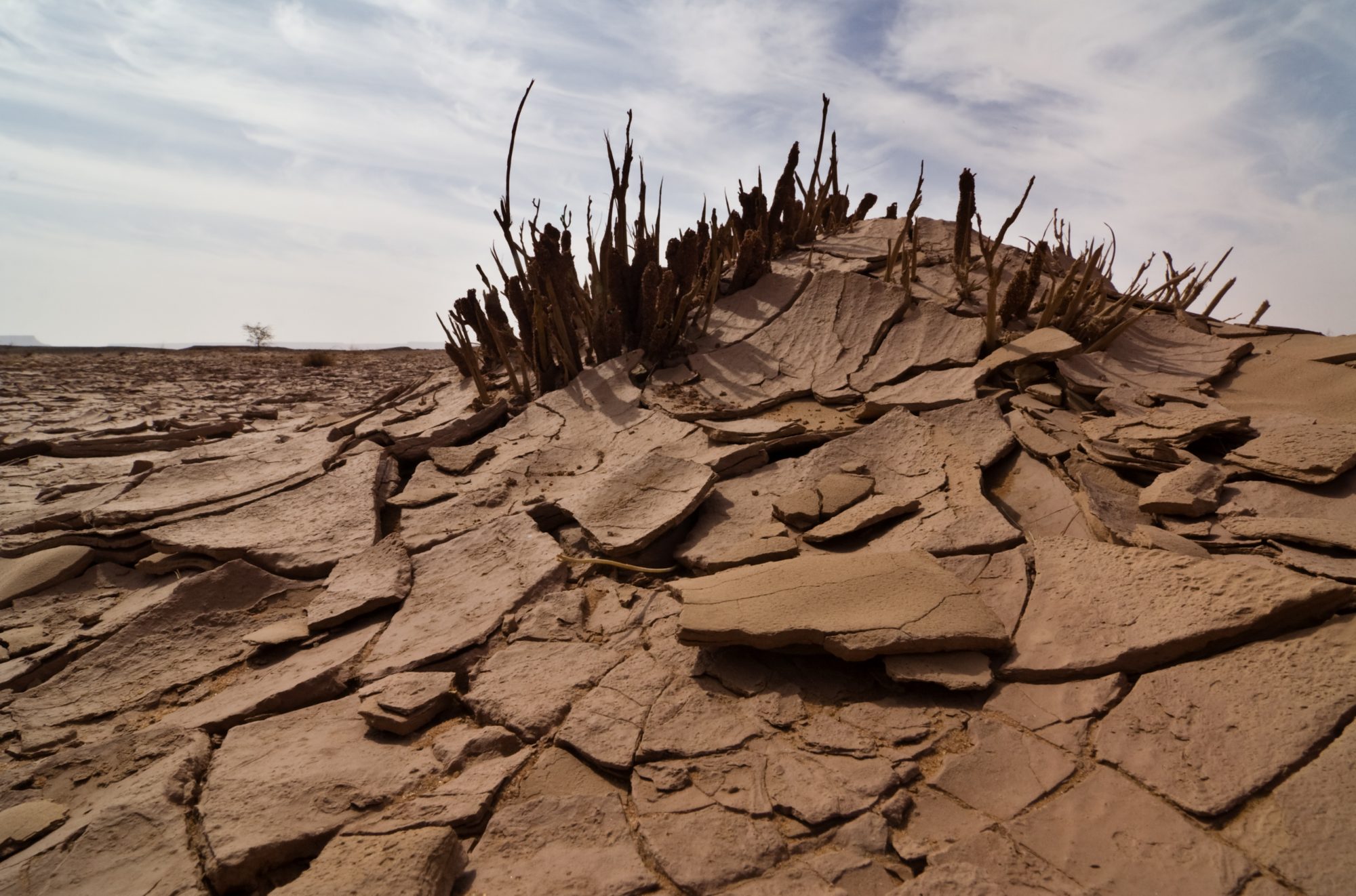 Desert decamped