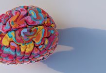 a model of a brain viewed from above, sliced into many horizontal multi-coloured layers of shiny metallic material, stacked up to form brain model. The model sits on a plain white surface with shadow, good mental health