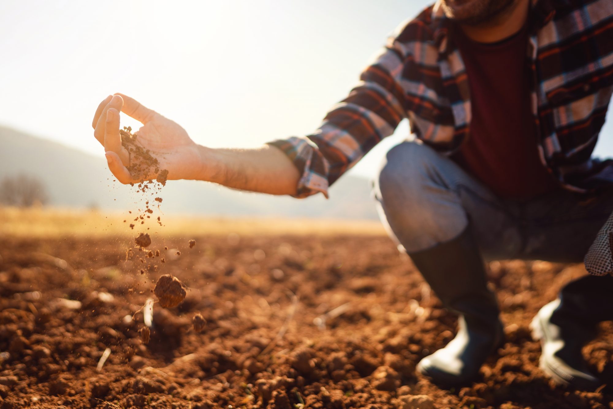 Farmer working in the field analysing soil on land