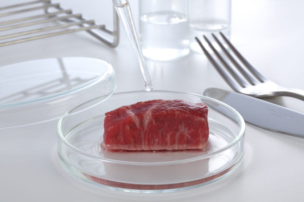 concept of cultured meat