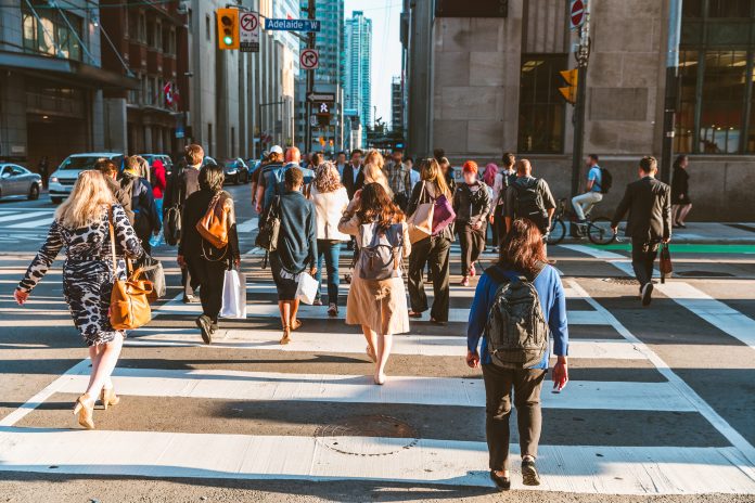 Crowd of unrecognisable people crossing street on traffic light zebra in the city of Toronto at rush hour - Lifestyle in a big city in North America