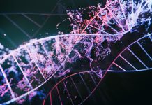 DNA strands - 3d images of dna molecules on black background, science nanotechnology, medical concept, on dark bg, hologram view.