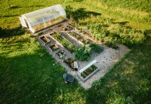 Aerial point of view of two women working in their backyard garden in summertime.