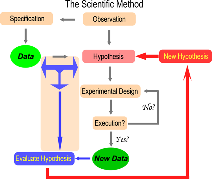 The Scientific Method