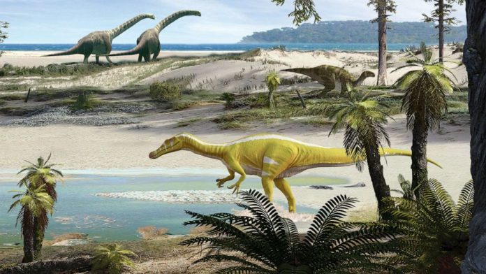 A new spinosaurid dinosaur, Protathlitis cinctorrensis, was discovered in Spain. Oscar Sanisidro/Grup Guix