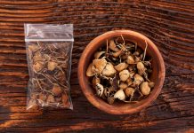 Dry psilocybin magic mushrooms in plastic bag and wooden bowl on brown table. Medical alternative remedy, psychedelic drugs