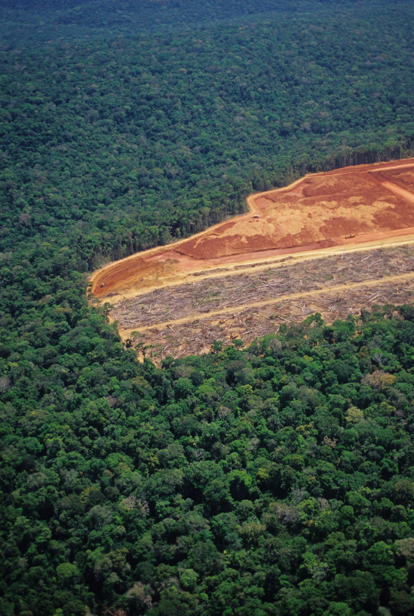 Amazon deforestation from above