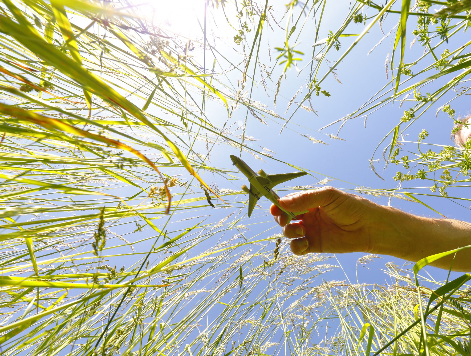 Miniature airplane model over a blooming meadow.