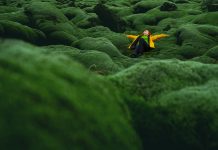 Woman posing in Icelandic moss lying on back looking up feeling happy with toothy smile