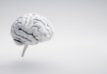 White brain on white background with copy space - 3D illustration