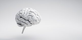 White brain on white background with copy space - 3D illustration