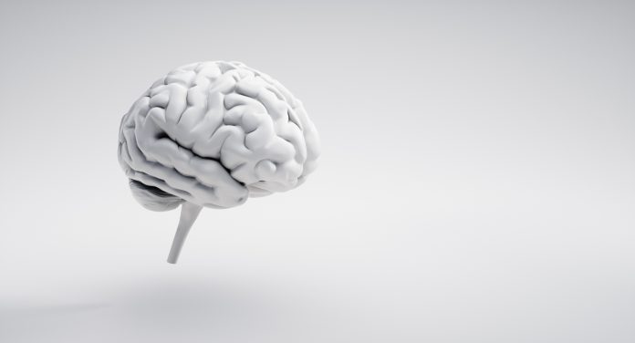 White brain on white background with copy space - 3D illustration