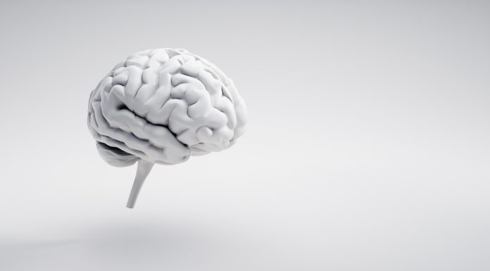 White brain on white background with copy space - 3D illustration