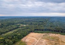 Aerial view of deforestation of Amazon rainforest. Forest trees destroyed to open land for commercial area. Concept of environment, ecology, climate change, global warming, carbon emissions. Amazonas.
