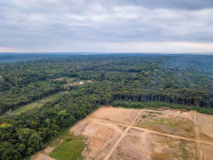 Aerial view of deforestation of Amazon rainforest. Forest trees destroyed to open land for commercial area. Concept of environment, ecology, climate change, global warming, carbon emissions. Amazonas.