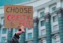 The phrase " Choose cruelty free " on a banner in men's hand. Animal rights protest. Protection. City. Urban. Rally. Freedom. Stop animal testing. Equality. Justice. Care. Life. Humanity