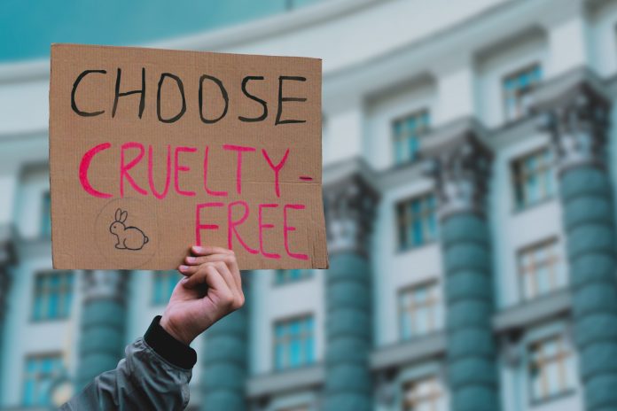 The phrase " Choose cruelty free " on a banner in men's hand. Animal rights protest. Protection. City. Urban. Rally. Freedom. Stop animal testing. Equality. Justice. Care. Life. Humanity