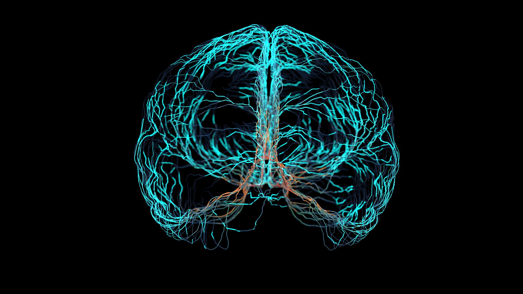 Brain nerve electric signal simulation