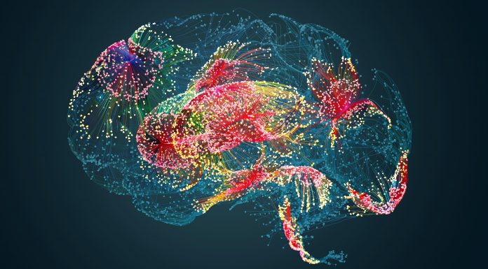 Brain activity,Human brain damage,Neural network,Artificial intelligence and idea concept