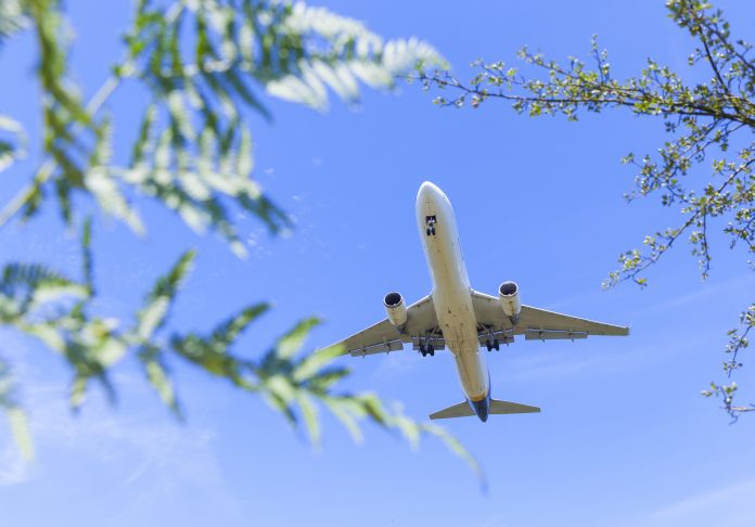 Cologne, Germany - August 07, 2016: UPS Air Cargo Boeing 757 landing at Cologne/Bonn (CGN) International Airport. Fern and tree branch growing at the Wahner Heide (Moorland of Wahn) in front.