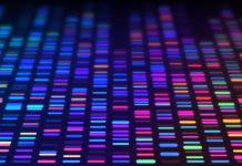 DNA sequencing gel run science and data genomic genetic analysis background abstract pattern.