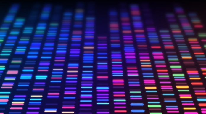 DNA sequencing gel run science and data genomic genetic analysis background abstract pattern.