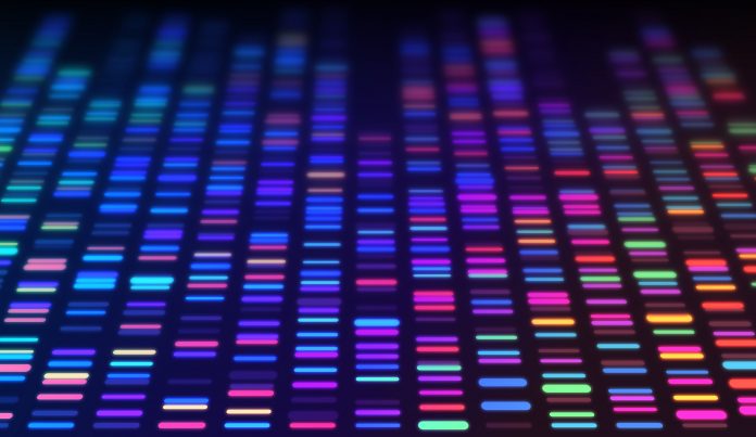 DNA sequencing gel run science and data genomic genetic analysis background abstract pattern.