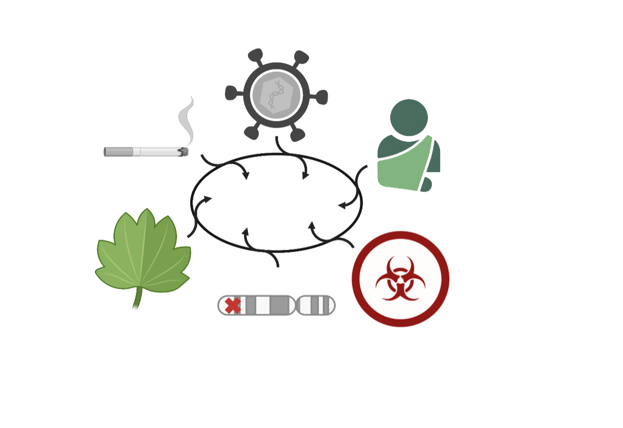 Figure 1: The interaction between external elements such as the environment, lifestyle risk factors, infections, injuries, hazardous agents, and genetic factors causes disease