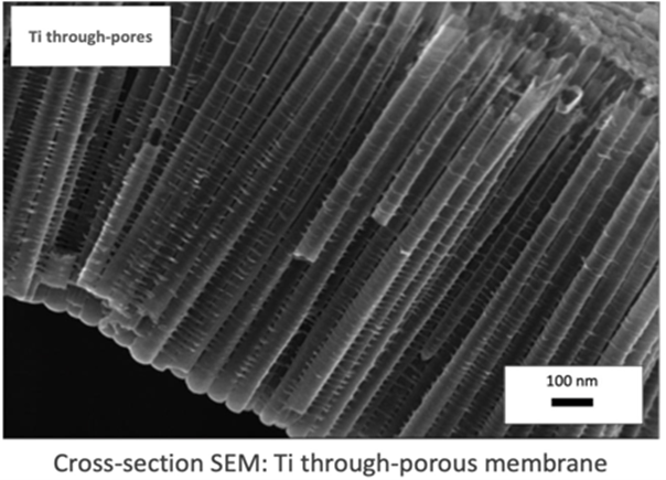 Figure 2: One of Prof. Thomas Webster’s companies making nanoporous metallic stem cell delivery devices that outperform traditional polymer capsules.