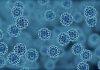Bacterial cell or virus, 3d generated view from microscope.