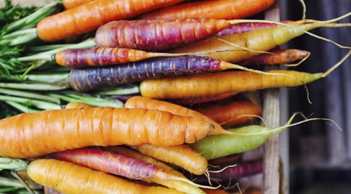 Fresh picked rainbow carrots including different coloured carrots. Colourful carrot varieties that are fashionable now.