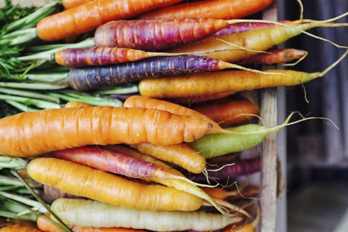 Fresh picked rainbow carrots including different coloured carrots. Colourful carrot varieties that are fashionable now.