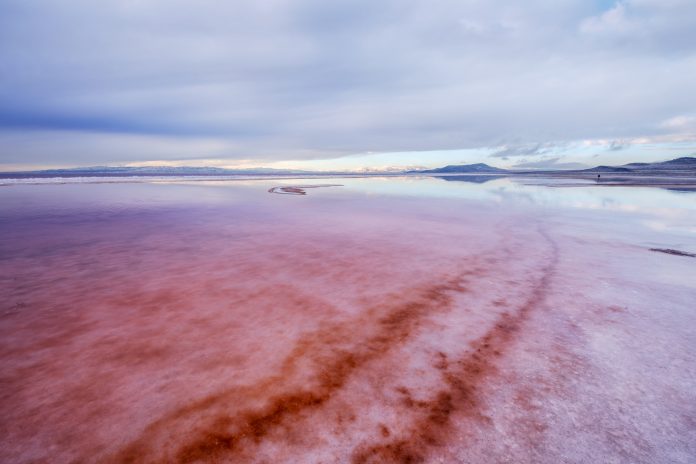 algae on ice on a lake in the US