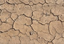 Cracked dry land as a result of drought caused by human environmental degradation such as deforestation, bad agricultural practices, intense farming and reduced space for natural forests and habitats.