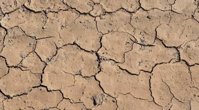 Cracked dry land as a result of drought caused by human environmental degradation such as deforestation, bad agricultural practices, intense farming and reduced space for natural forests and habitats.