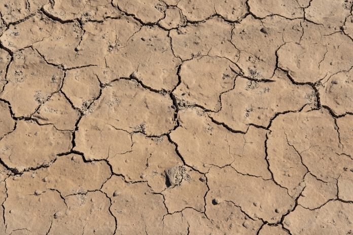 Cracked dry land as a result of drought caused by human environmental degradation such as deforestation, bad agricultural practices, intense farming and reduced space for natural forests and habitats.