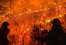 Firefighters battle a wildfire because El nino events , climate change and global warming is a driver of global wildfire trends.